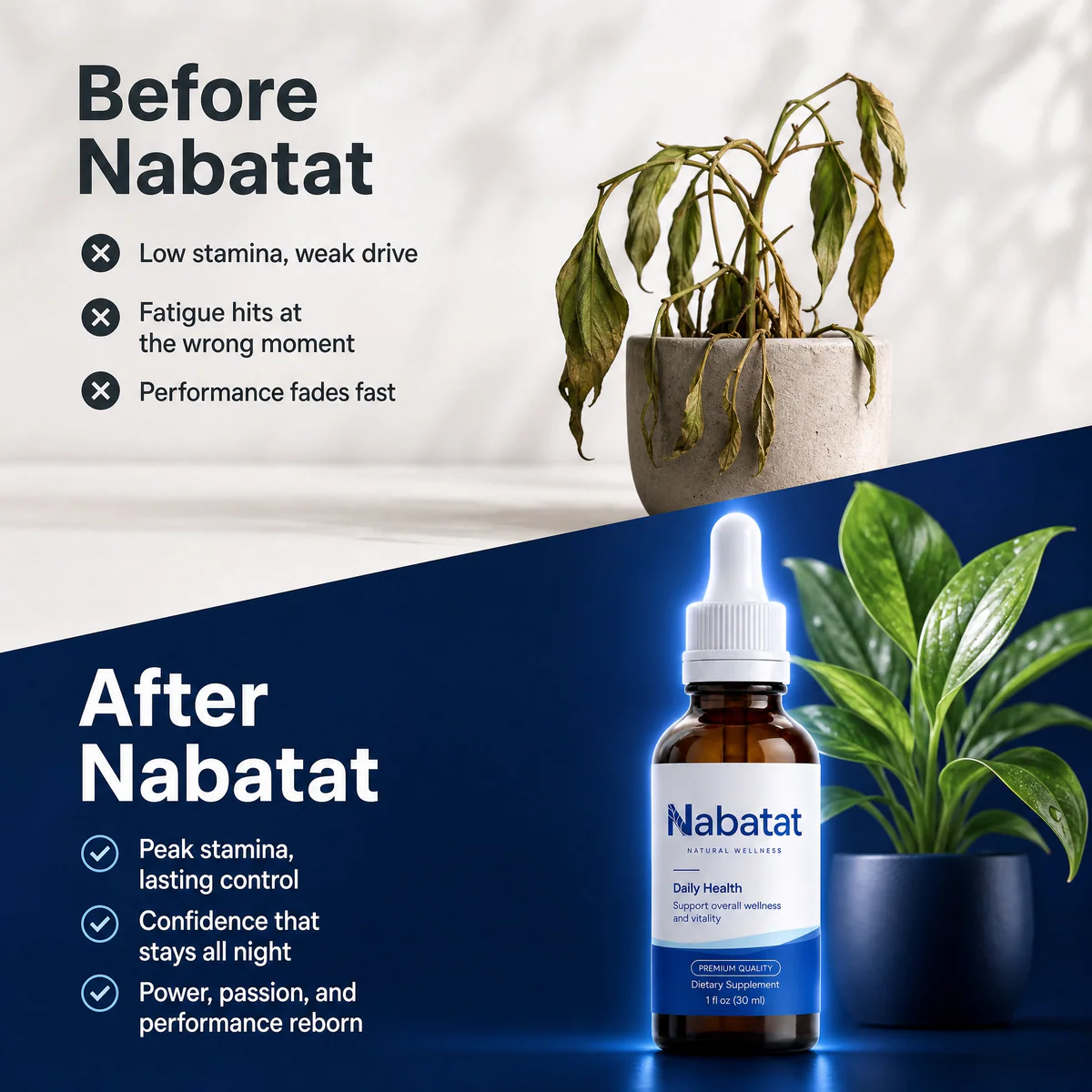 Nabatat™ Men's Herbal Wellness Oil