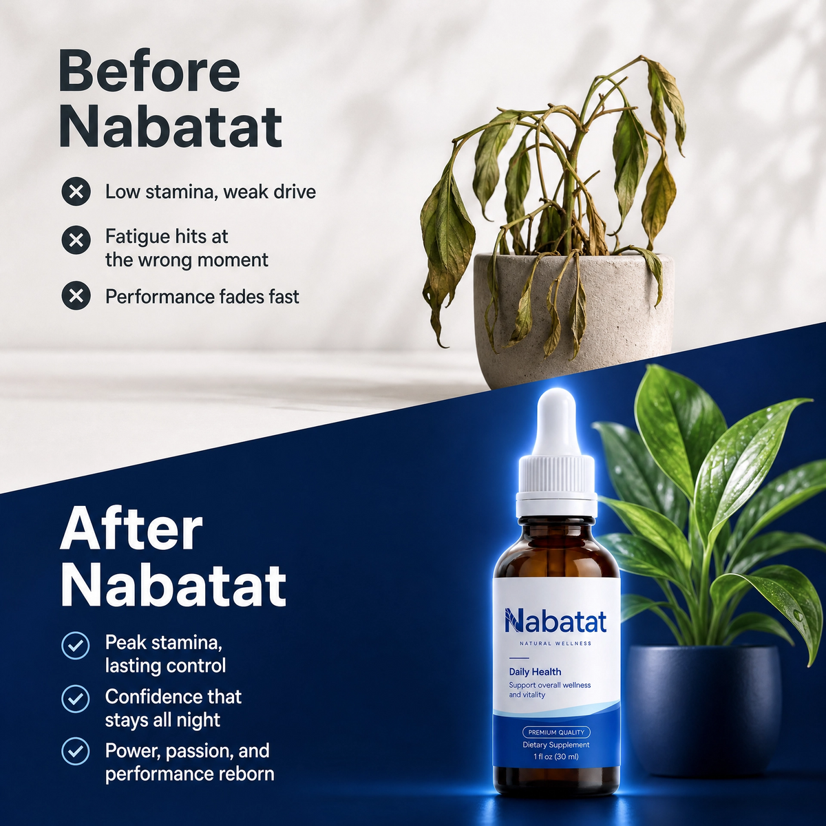 Nabatat™ Stay in the Moment, Longer